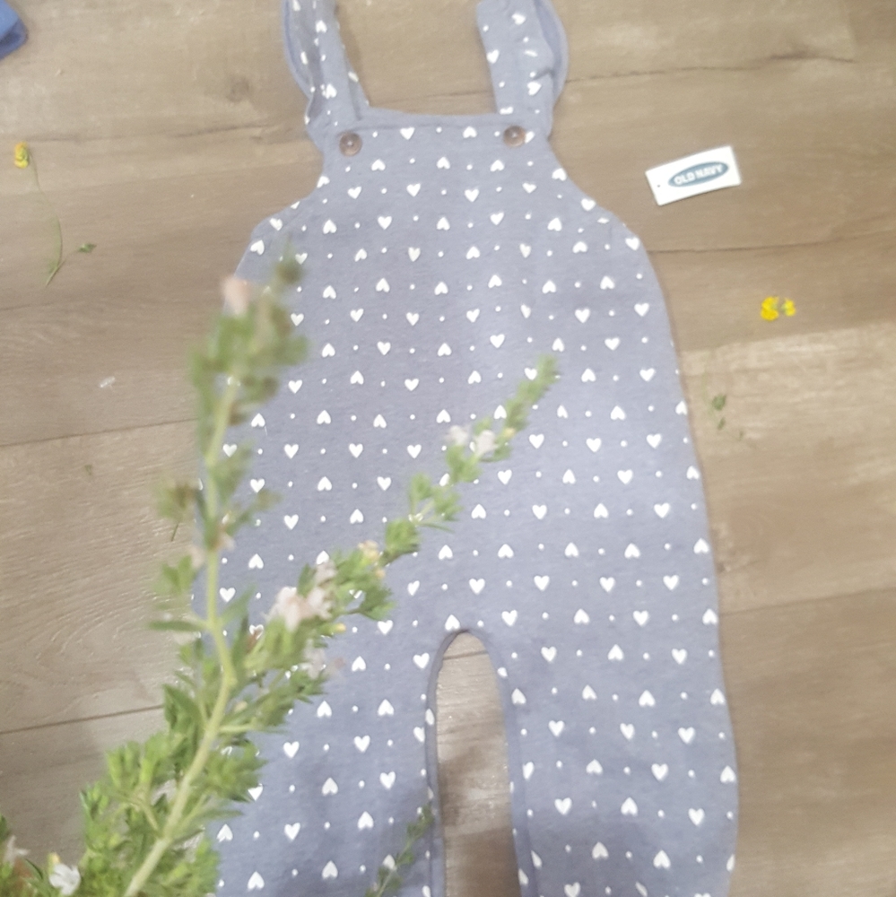 Girl's overall